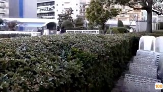 成人精品在线国产,成人视频高清免费观看